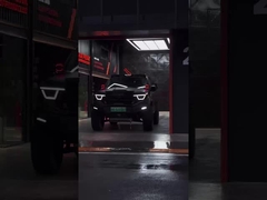 385Nm 185KW 252P 4WD 5 мест 5 дверей 2,0T Танк 400 внедорожник Бензин топливо Новый автомобиль